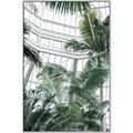 Picture of Tropical Greenhouse ll _GroupedProduct_Rectangle_Portrait_Photography _GroupedProduct_Rectangle_Portrait_Canvas_Framed_