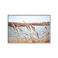 Picture of Fall Beach _GroupedProduct_Rectangle_Landscape_Photography _GroupedProduct_Rectangle_Landscape_Canvas_Framed_