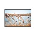 Picture of Fall Beach _GroupedProduct_Rectangle_Landscape_Photography _GroupedProduct_Rectangle_Landscape_Canvas_Framed_