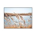 Picture of Fall Beach _GroupedProduct_Rectangle_Landscape_Photography _GroupedProduct_Rectangle_Landscape_Canvas_Framed_