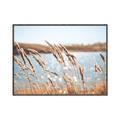 Picture of Fall Beach _GroupedProduct_Rectangle_Landscape_Photography _GroupedProduct_Rectangle_Landscape_Canvas_Framed_
