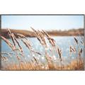 Picture of Fall Beach _GroupedProduct_Rectangle_Landscape_Photography _GroupedProduct_Rectangle_Landscape_Canvas_Framed_