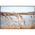 Picture of Fall Beach _GroupedProduct_Rectangle_Landscape_Photography _GroupedProduct_Rectangle_Landscape_Canvas_Framed_