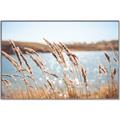 Picture of Fall Beach _GroupedProduct_Rectangle_Landscape_Photography _GroupedProduct_Rectangle_Landscape_Canvas_Framed_