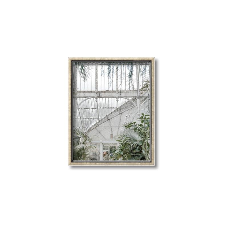 Picture of Green house IV _GroupedProduct_Rectangle_Portrait_Photography _GroupedProduct_Rectangle_Portrait_Canvas_Framed_