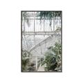 Picture of Green house IV _GroupedProduct_Rectangle_Portrait_Photography _GroupedProduct_Rectangle_Portrait_Canvas_Framed_