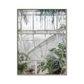 Picture of Green house IV _GroupedProduct_Rectangle_Portrait_Photography _GroupedProduct_Rectangle_Portrait_Canvas_Framed_