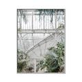 Picture of Green house IV _GroupedProduct_Rectangle_Portrait_Photography _GroupedProduct_Rectangle_Portrait_Canvas_Framed_