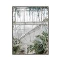Picture of Green house IV _GroupedProduct_Rectangle_Portrait_Photography _GroupedProduct_Rectangle_Portrait_Canvas_Framed_