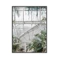 Picture of Green house IV _GroupedProduct_Rectangle_Portrait_Photography _GroupedProduct_Rectangle_Portrait_Canvas_Framed_