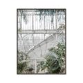 Picture of Green house IV _GroupedProduct_Rectangle_Portrait_Photography _GroupedProduct_Rectangle_Portrait_Canvas_Framed_