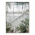 Picture of Green house IV _GroupedProduct_Rectangle_Portrait_Photography _GroupedProduct_Rectangle_Portrait_Canvas_Framed_