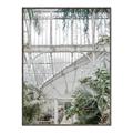 Picture of Green house IV _GroupedProduct_Rectangle_Portrait_Photography _GroupedProduct_Rectangle_Portrait_Canvas_Framed_
