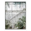 Picture of Green house IV _GroupedProduct_Rectangle_Portrait_Photography _GroupedProduct_Rectangle_Portrait_Canvas_Framed_