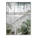 Picture of Green house IV _GroupedProduct_Rectangle_Portrait_Photography _GroupedProduct_Rectangle_Portrait_Canvas_Framed_