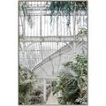 Picture of Green house IV _GroupedProduct_Rectangle_Portrait_Photography _GroupedProduct_Rectangle_Portrait_Canvas_Framed_