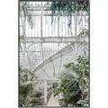 Picture of Green house IV _GroupedProduct_Rectangle_Portrait_Photography _GroupedProduct_Rectangle_Portrait_Canvas_Framed_