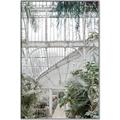 Picture of Green house IV _GroupedProduct_Rectangle_Portrait_Photography _GroupedProduct_Rectangle_Portrait_Canvas_Framed_