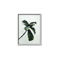 Picture of Green Sprout white _GroupedProduct_Rectangle_Portrait_Photography _GroupedProduct_Rectangle_Portrait_Canvas_Framed_