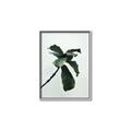Picture of Green Sprout white _GroupedProduct_Rectangle_Portrait_Photography _GroupedProduct_Rectangle_Portrait_Canvas_Framed_