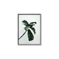 Picture of Green Sprout white _GroupedProduct_Rectangle_Portrait_Photography _GroupedProduct_Rectangle_Portrait_Canvas_Framed_