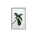 Picture of Green Sprout white _GroupedProduct_Rectangle_Portrait_Photography _GroupedProduct_Rectangle_Portrait_Canvas_Framed_