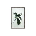 Picture of Green Sprout white _GroupedProduct_Rectangle_Portrait_Photography _GroupedProduct_Rectangle_Portrait_Canvas_Framed_