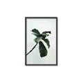 Picture of Green Sprout white _GroupedProduct_Rectangle_Portrait_Photography _GroupedProduct_Rectangle_Portrait_Canvas_Framed_