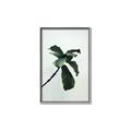 Picture of Green Sprout white _GroupedProduct_Rectangle_Portrait_Photography _GroupedProduct_Rectangle_Portrait_Canvas_Framed_