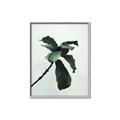 Picture of Green Sprout white _GroupedProduct_Rectangle_Portrait_Photography _GroupedProduct_Rectangle_Portrait_Canvas_Framed_