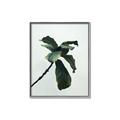 Picture of Green Sprout white _GroupedProduct_Rectangle_Portrait_Photography _GroupedProduct_Rectangle_Portrait_Canvas_Framed_
