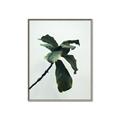 Picture of Green Sprout white _GroupedProduct_Rectangle_Portrait_Photography _GroupedProduct_Rectangle_Portrait_Canvas_Framed_