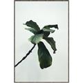 Picture of Green Sprout white _GroupedProduct_Rectangle_Portrait_Photography _GroupedProduct_Rectangle_Portrait_Canvas_Framed_