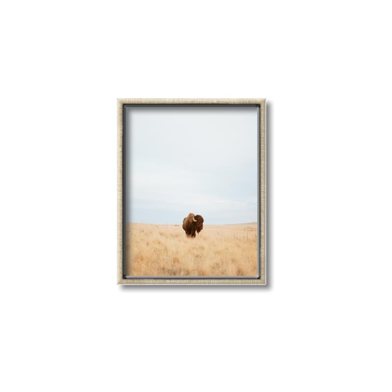 Picture of Field Guy _GroupedProduct_Rectangle_Portrait_Photography _GroupedProduct_Rectangle_Portrait_Canvas_Framed_