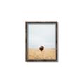 Picture of Field Guy _GroupedProduct_Rectangle_Portrait_Photography _GroupedProduct_Rectangle_Portrait_Canvas_Framed_