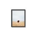 Picture of Field Guy _GroupedProduct_Rectangle_Portrait_Photography _GroupedProduct_Rectangle_Portrait_Canvas_Framed_