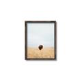 Picture of Field Guy _GroupedProduct_Rectangle_Portrait_Photography _GroupedProduct_Rectangle_Portrait_Canvas_Framed_