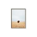 Picture of Field Guy _GroupedProduct_Rectangle_Portrait_Photography _GroupedProduct_Rectangle_Portrait_Canvas_Framed_