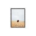 Picture of Field Guy _GroupedProduct_Rectangle_Portrait_Photography _GroupedProduct_Rectangle_Portrait_Canvas_Framed_