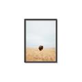Picture of Field Guy _GroupedProduct_Rectangle_Portrait_Photography _GroupedProduct_Rectangle_Portrait_Canvas_Framed_