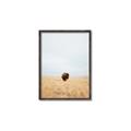 Picture of Field Guy _GroupedProduct_Rectangle_Portrait_Photography _GroupedProduct_Rectangle_Portrait_Canvas_Framed_