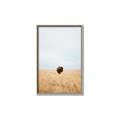 Picture of Field Guy _GroupedProduct_Rectangle_Portrait_Photography _GroupedProduct_Rectangle_Portrait_Canvas_Framed_