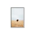 Picture of Field Guy _GroupedProduct_Rectangle_Portrait_Photography _GroupedProduct_Rectangle_Portrait_Canvas_Framed_