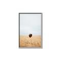 Picture of Field Guy _GroupedProduct_Rectangle_Portrait_Photography _GroupedProduct_Rectangle_Portrait_Canvas_Framed_