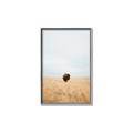 Picture of Field Guy _GroupedProduct_Rectangle_Portrait_Photography _GroupedProduct_Rectangle_Portrait_Canvas_Framed_