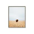 Picture of Field Guy _GroupedProduct_Rectangle_Portrait_Photography _GroupedProduct_Rectangle_Portrait_Canvas_Framed_