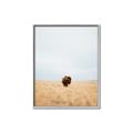 Picture of Field Guy _GroupedProduct_Rectangle_Portrait_Photography _GroupedProduct_Rectangle_Portrait_Canvas_Framed_