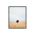 Picture of Field Guy _GroupedProduct_Rectangle_Portrait_Photography _GroupedProduct_Rectangle_Portrait_Canvas_Framed_