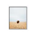 Picture of Field Guy _GroupedProduct_Rectangle_Portrait_Photography _GroupedProduct_Rectangle_Portrait_Canvas_Framed_
