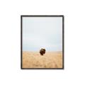 Picture of Field Guy _GroupedProduct_Rectangle_Portrait_Photography _GroupedProduct_Rectangle_Portrait_Canvas_Framed_